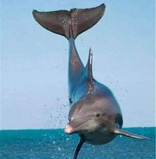 Two Maine Guys Augusta