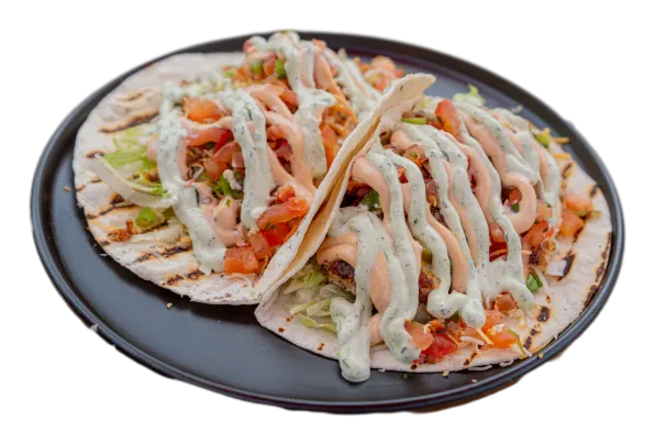 Grilled Haddock Taco